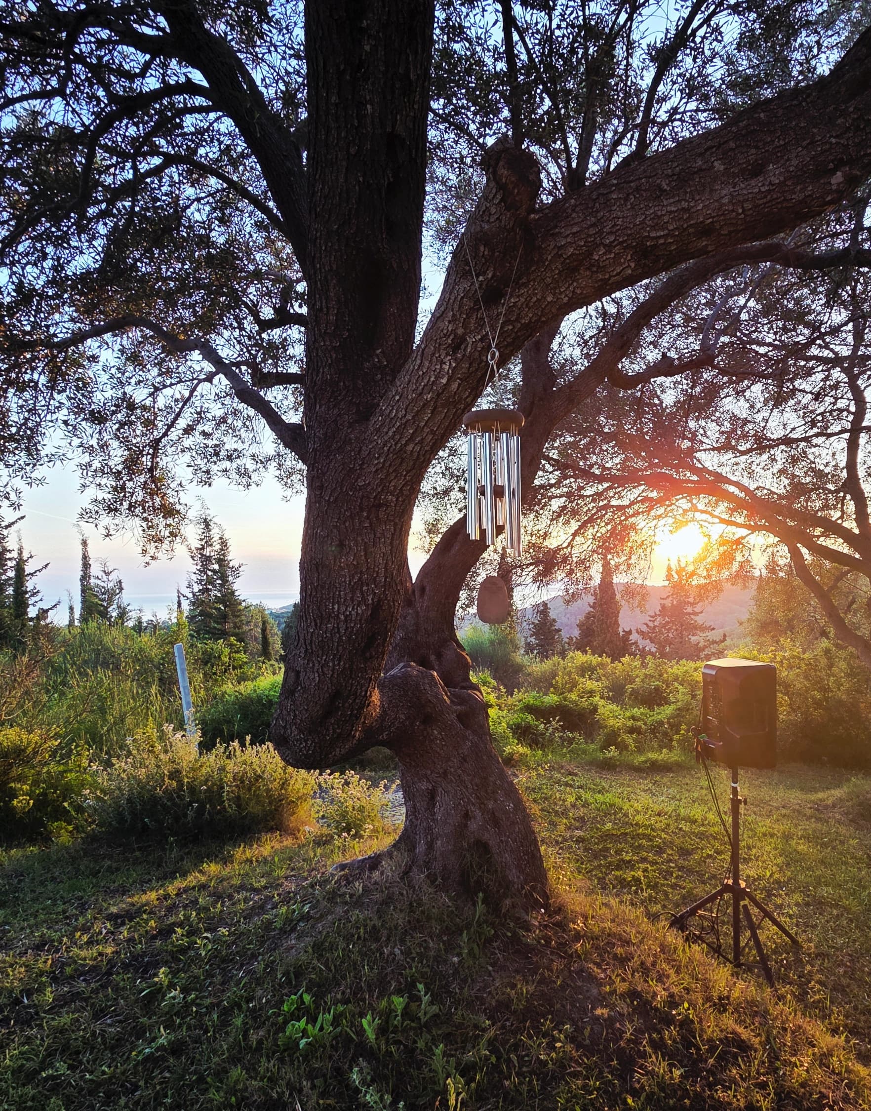 Breathworkretreat Cover