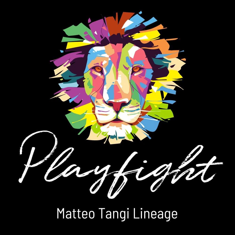Playfight - Exploring Connection Cover
