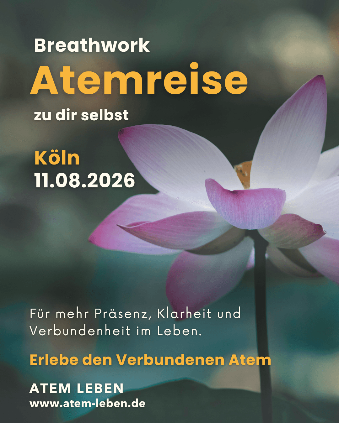Lebendige Atemreise / Breathwork