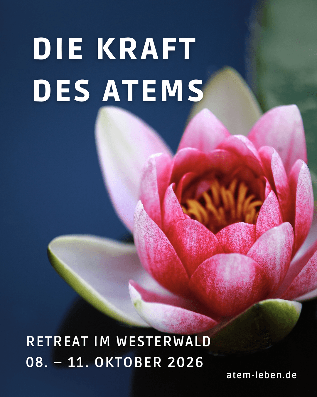 Die Kraft des Atems – Breathwork-Retreat