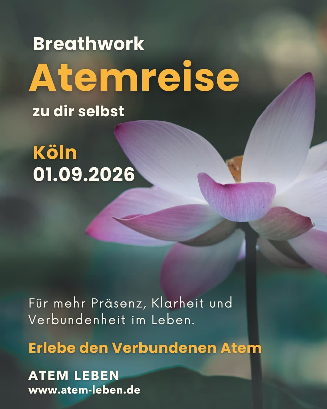 Lebendige Atemreise / Breathwork Cover
